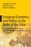 European Economics and Politics in the Midst of the Crisis