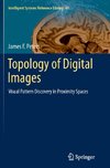 Topology of Digital Images