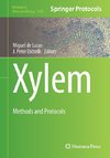 Xylem