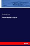 Aufsätze über Goethe