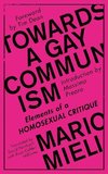 Towards a Gay Communism