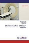 Characterization of Breast Lesions