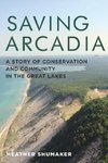 Saving Arcadia