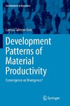 Development Patterns of Material Productivity