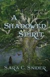 A Shadowed Spirit