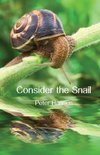 Consider the Snail