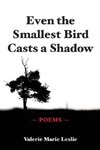 Even the Smallest Bird Casts a Shadow