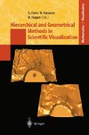 Hierarchical and Geometrical Methods in Scientific Visualization