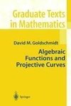 Algebraic Functions and Projective Curves