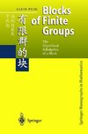 Blocks of Finite Groups