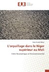 L'orpaillage dans le Niger supérieur au Mali