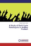 A Study of Dalit Caste Panchayats in Andhra Pradesh