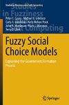 Fuzzy Social Choice Models