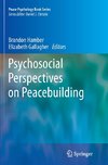 Psychosocial Perspectives on Peacebuilding