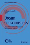 Dream Consciousness