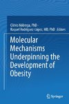 Molecular Mechanisms Underpinning the Development of Obesity