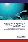 Mathematical Modeling of MHD Boundary Layer Free Convective Flows