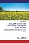 Drought related MYB transcription factor gene from Brassica