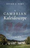 A Cambrian Kaleidoscope