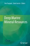 Deep Marine Mineral Resources