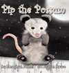 Pip the Possum