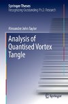 Analysis of Quantised Vortex Tangle