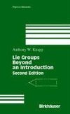 Lie Groups Beyond an Introduction