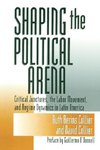 Shaping the Political Arena