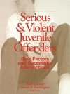 Loeber, R: Serious and Violent Juvenile Offenders