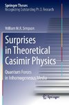 Surprises in Theoretical Casimir Physics