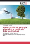 Generación de energía eléctrica a partir de RSU en Chubut