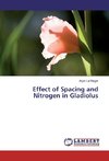 Effect of Spacing and Nitrogen in Gladiolus