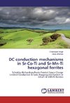 DC conduction mechanisms in Sr-Co-Ti and Sr-Mn-Ti hexagonal ferrites