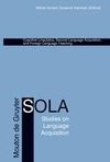 Cognitive Linguistics, Second Language Acquisition, and Foreign Language Teaching