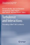 Turbulence and Interactions