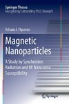 Magnetic Nanoparticles