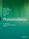 Phytoremediation