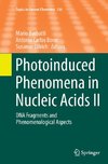 Photoinduced Phenomena in Nucleic Acids II