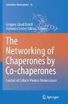 The Networking of Chaperones by Co-chaperones