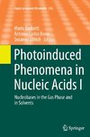 Photoinduced Phenomena in Nucleic Acids I