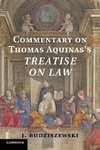 Commentary on Thomas Aquinas's Treatise on             Law