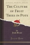 Brace, J: Culture of Fruit Trees in Pots (Classic Reprint)