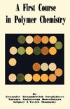 First Course in Polymer Chemistry, A