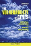 The Vulnerability of Cities