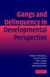 Gang Delinquency Develop Perspectve