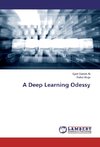 A Deep Learning Odessy