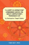 A Lamp's Illumination Condensed Advice on Great Completion's Thorough Cut