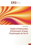 Etude d'intéraction d'Urannium VI avec l'hydroxyde de fer III