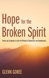 Hope for the Broken Spirit