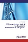 PCR Detection of OXA ß-Lactamase in Pseudomonas aeruginosa